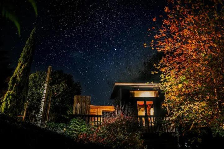 Waikino Starry Nights Cabin Fever מראה חיצוני תמונה
