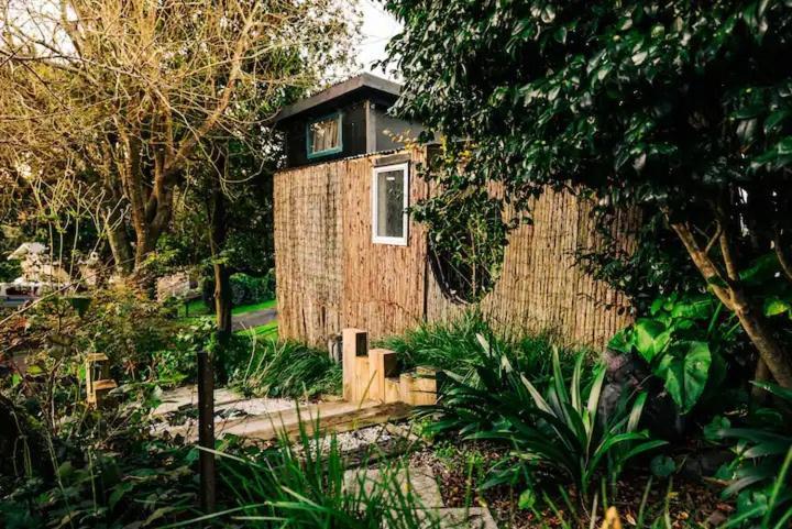 Waikino Starry Nights Cabin Fever מראה חיצוני תמונה