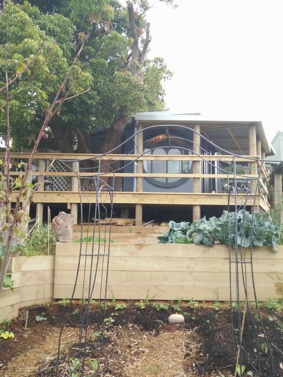 Waikino Starry Nights Cabin Fever מראה חיצוני תמונה